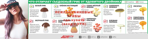 ГАЛЛЮЦИНОГЕННЫЕ ГРИБЫ Новокубанск