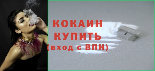 скорость Новозыбков
