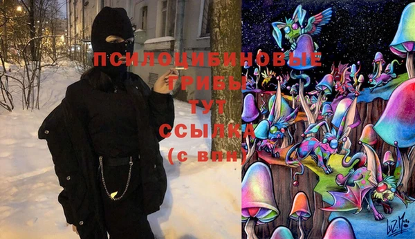 скорость Новозыбков